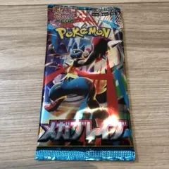 エラーパック　メガブレイブ　ルカリオ