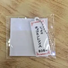 シャオジュン ラントイ キーホルダー 威神V WayV