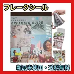 ❤️フレークシール❤️コラージュ素材 50ページ 約850種 手帳ステッカー
