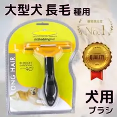 Item thumbnail for item 5117dc3d-cf15-4269-8fbe-e9a79f5b68b9