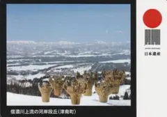 Item thumbnail for item 5cee6868-b6c7-4dbc-a750-3c26c0cd3390