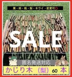 Item thumbnail for item 88a4eeb0-2ddd-4b9a-8ca3-e0c43fab9449