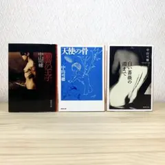 猫背の王子 　天使の骨　白い薔薇の淵まで 　中山可穂　3冊セット