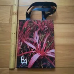 Item thumbnail for item be6a412b-c027-47d5-bcd8-d41f64d9d288