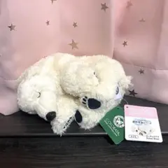 ホッキョクグマ (シロクマ) 子 カロラータ ぬいぐるみ (スリーピングシリーズ