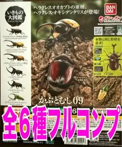 いきもの大図鑑 かぶとむし09 全６種　ガチャ