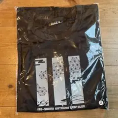 お盆終値下げ⭐︎伊勢志摩トライアスロン2025参加賞Tシャツ