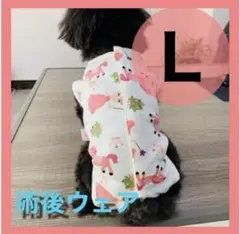 Item thumbnail for item 1d6b1bb7-312f-4828-940b-23ec84addfb0