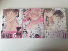 【BL】田中森よこた　BL漫画3冊セット