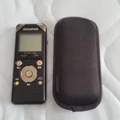 Item thumbnail for item 0eb6e79b-0f28-46b0-b756-664298a326fd