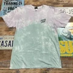 サンタクルーズ　Tシャツ　スケボー　L