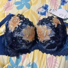 サルート　店舗限定　97グループ ブラジャー