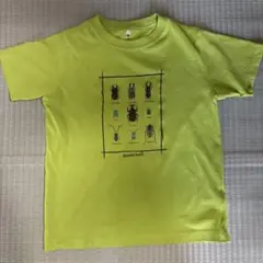 昆虫イラスト Tシャツ サイズ140 ライムグリーン