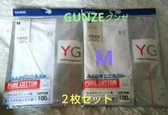 GUNZE 綿100% VネックTシャツ Mサイズ 2枚