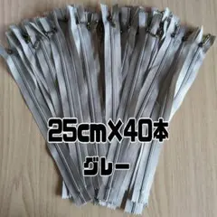【セール】ファスナー 25cm 40本 まとめ売り 玉付き グレー 同色