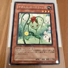 ナチュルローズウィップ