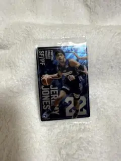 Item thumbnail for item 81f68f54-25bc-4248-b727-b2e0934dd4e1