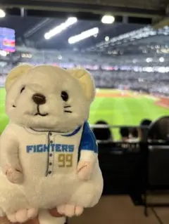 エスコン　ファイターズくじ　オコジョ4等　レイエス