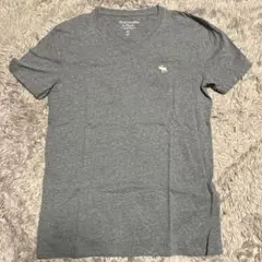 Abercrombie & Fitch アバクロ Tシャツ 青に近いグレー