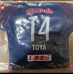 泉柊椰選手 14 クッション