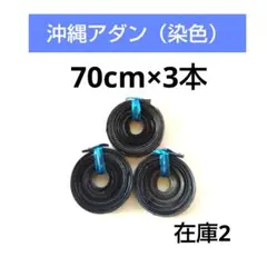 沖縄アダン＊染色480