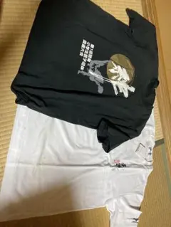 ミズノ 柔道Tシャツ 白新品 黒着用済み 2枚