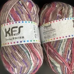 Opal マルチカラー毛糸 100g 425m 2個