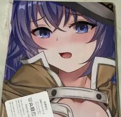 無職転生 ロキシー 抱き枕カバー b