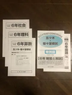 五ツ木・駸々堂　中学進学学力テスト　6年　　2024年度　特別回