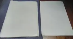 Item thumbnail for item 2bc3dfc6-e8bd-4476-b2eb-daaf251b16be