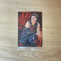 Bリーグウエハース ノーマルカード テーブス海