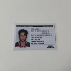 SEVENTEEN セブチ HAPPY BURSTDAY ウォヌ IDカード