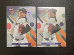 Item thumbnail for item 396c07a9-34a0-43aa-921d-c972a479654c