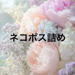 ネコポス詰め②