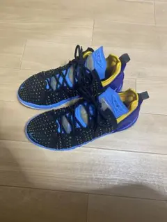 NIKE レブロン18 ブラック×ゴールド 27cm