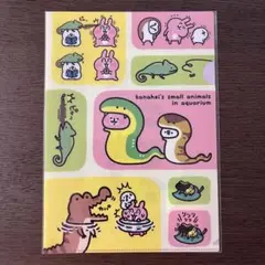 新品　カナヘイ　クリアファイル　マリンワールド