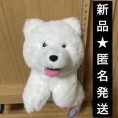 【新品】さみしがりやのサモエド　しっぽぶんぶん　おすわり