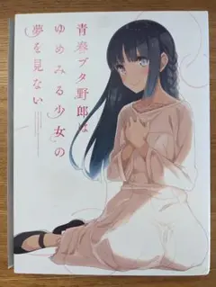 青ブタDVD 青春ブタ野郎はゆめみる少女の夢を見ない タペストリー付
