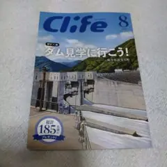 Item thumbnail for item 938f2c2a-8ad5-40ef-a3b5-f71cfce99ff6