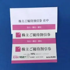 カンセキ株主優待割引券 ２枚