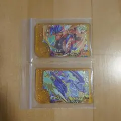 ポケモンフレンダ　スーパートレジャー　レガシー　ミライドン　コライドン