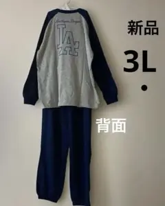 Item thumbnail for item e17d8a34-83cb-4692-82da-be2dc4d5282f