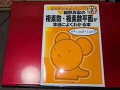 Item thumbnail for item ebebc6bc-85ca-4db4-8401-ffc54b7bd4b5