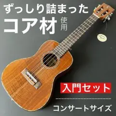 【Kaysen製】アカシアコア材総単板・コンサートウクレレ【工房調整品】