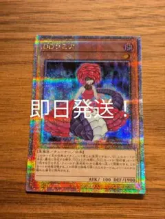 遊戯王　DDラミア　25th 即日発送