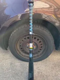 Item thumbnail for item 36d90203-a662-451b-a94a-e5e19424f008