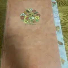 ポケモンセンター イーブイ クリアファイル A4サイズ