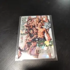 新品　RIZIN　ポテトスティック　カード