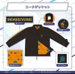 Item thumbnail for item 08bbcbe0-b422-478a-afc3-2161752955d1