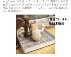 Item thumbnail for item dcf9fa0a-69f3-4cfb-9234-e147568cf488